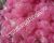 Pink Jelly Alcohol in bag